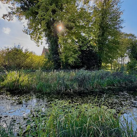 Hausboot Seestern Ferienhaus Bad Bederkesa